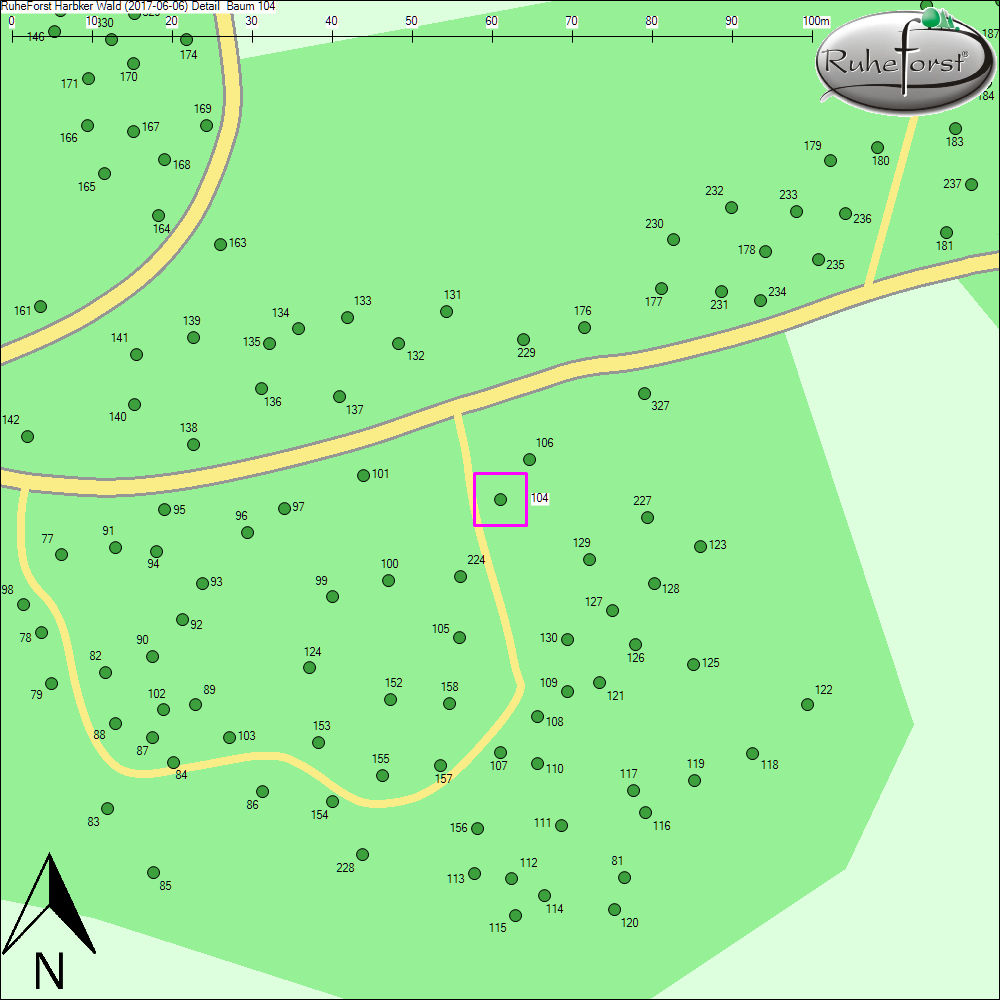 Detailkarte zu Baum 104