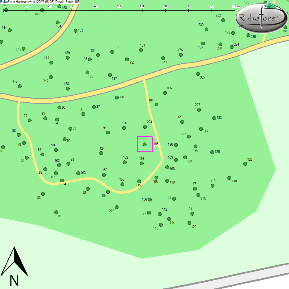 Detailkarte zu Baum 105