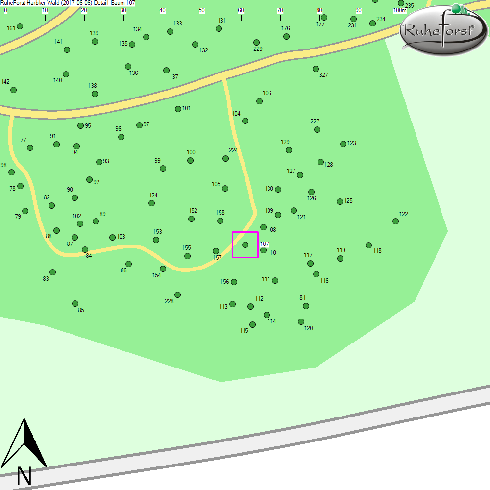 Detailkarte zu Baum 107