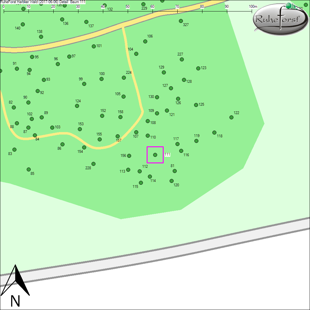 Detailkarte zu Baum 111