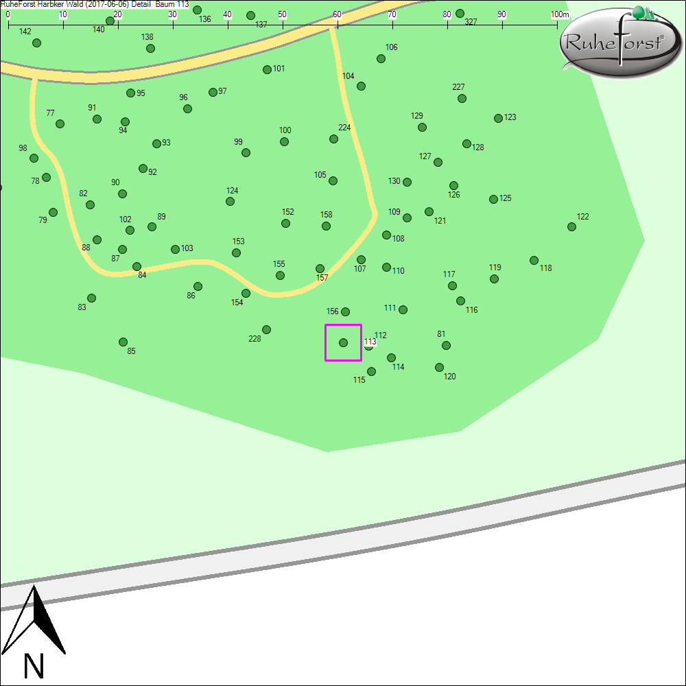Detailkarte zu Baum 113