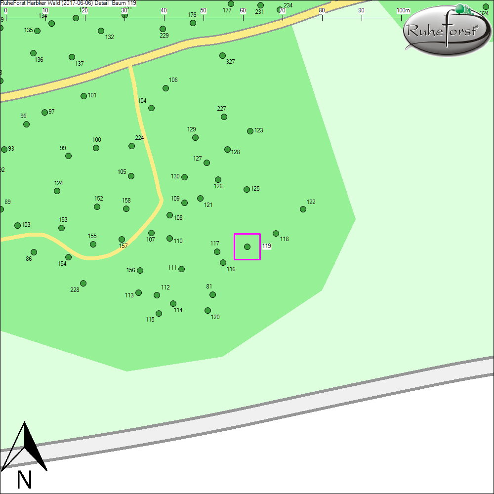 Detailkarte zu Baum 119