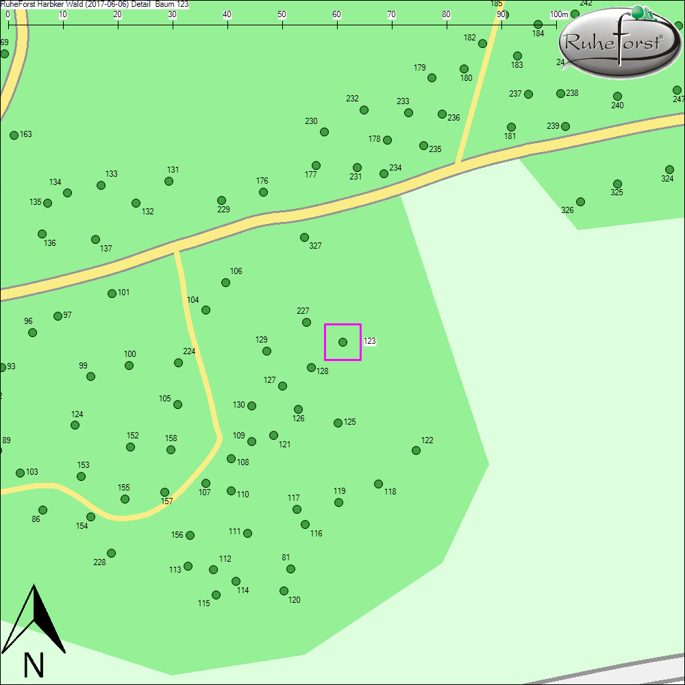 Detailkarte zu Baum 123