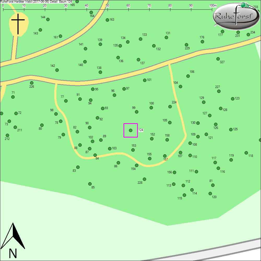 Detailkarte zu Baum 124