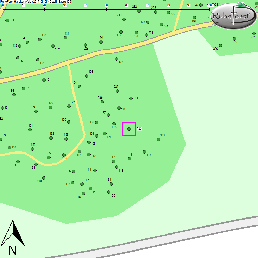 Detailkarte zu Baum 125