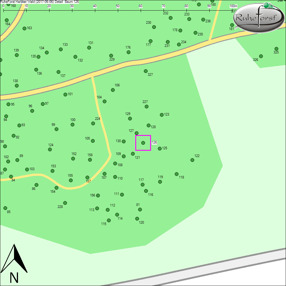 Detailkarte zu Baum 126