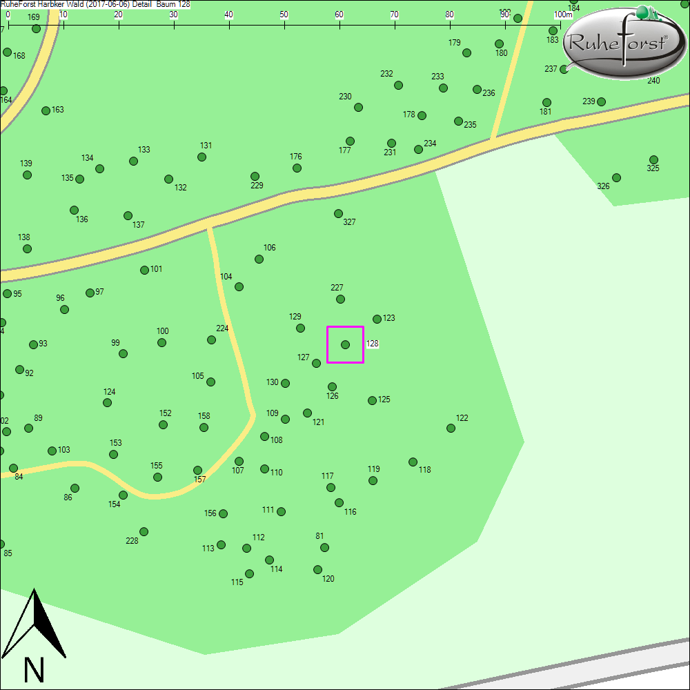 Detailkarte zu Baum 128
