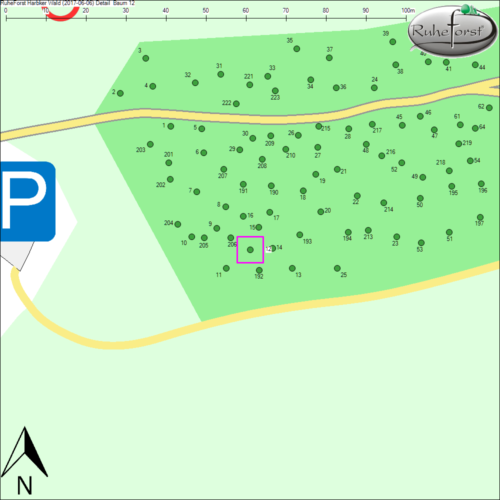 Detailkarte zu Baum 12