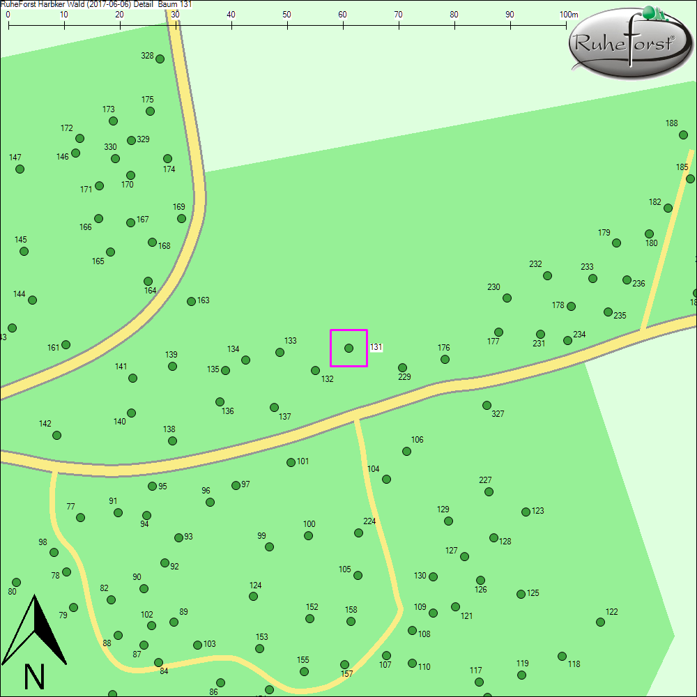 Detailkarte zu Baum 131