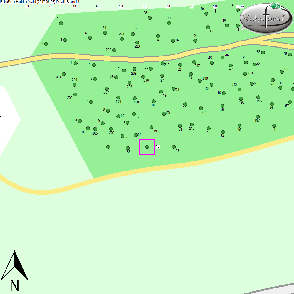 Detailkarte zu Baum 13