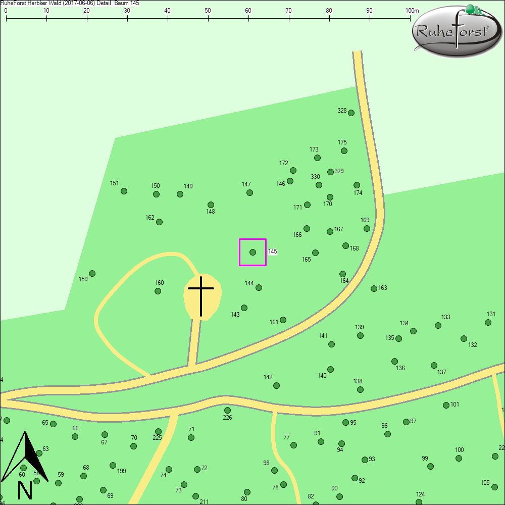 Detailkarte zu Baum 145