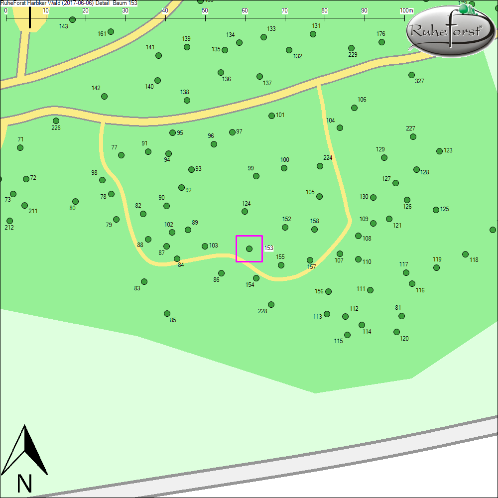 Detailkarte zu Baum 153