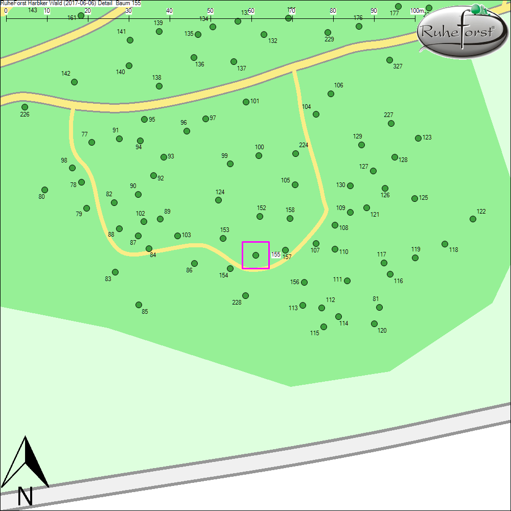 Detailkarte zu Baum 155