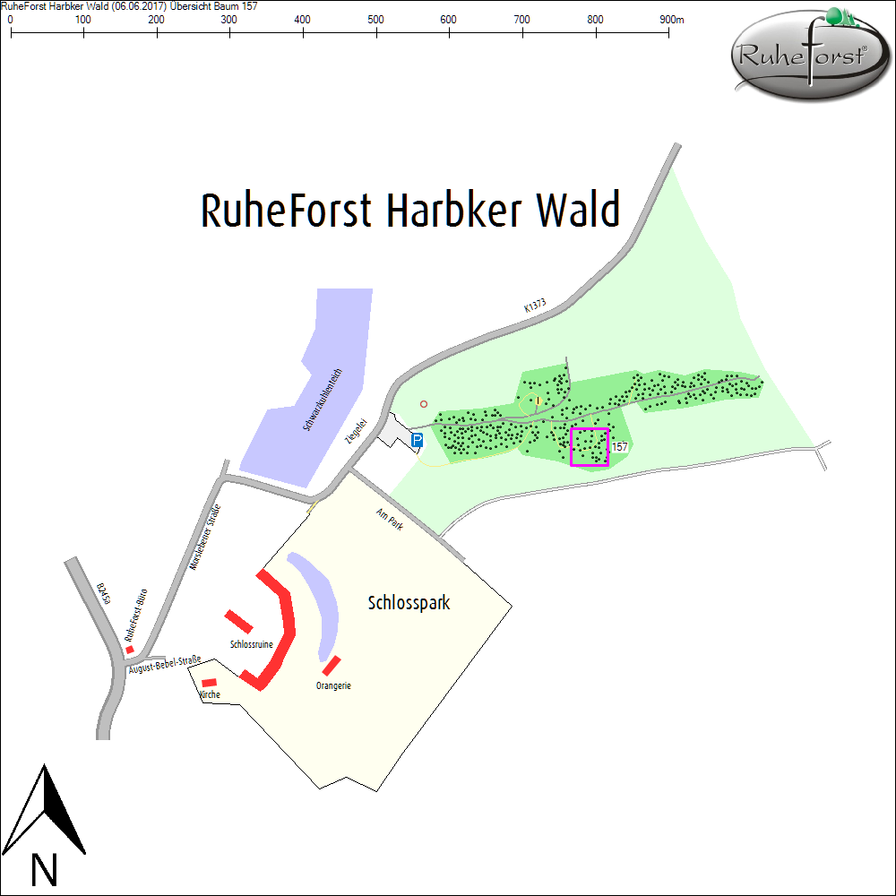&Uuml;bersichtskarte zu Baum 157