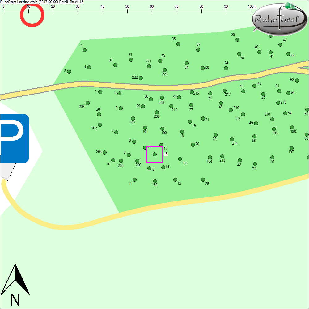 Detailkarte zu Baum 15