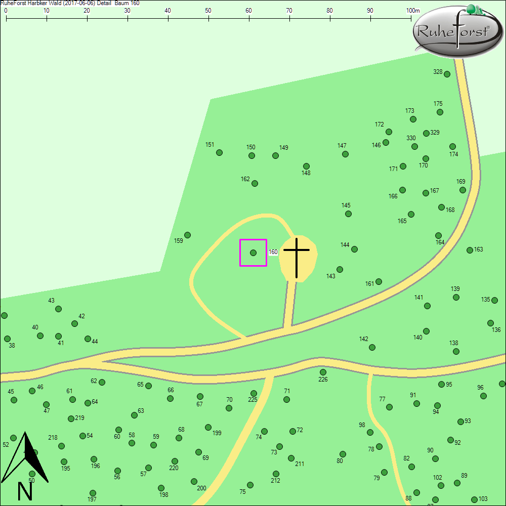Detailkarte zu Baum 160