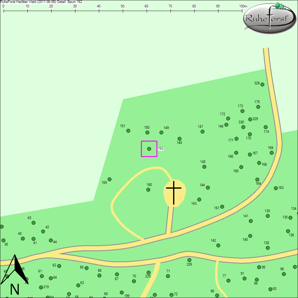 Detailkarte zu Baum 162