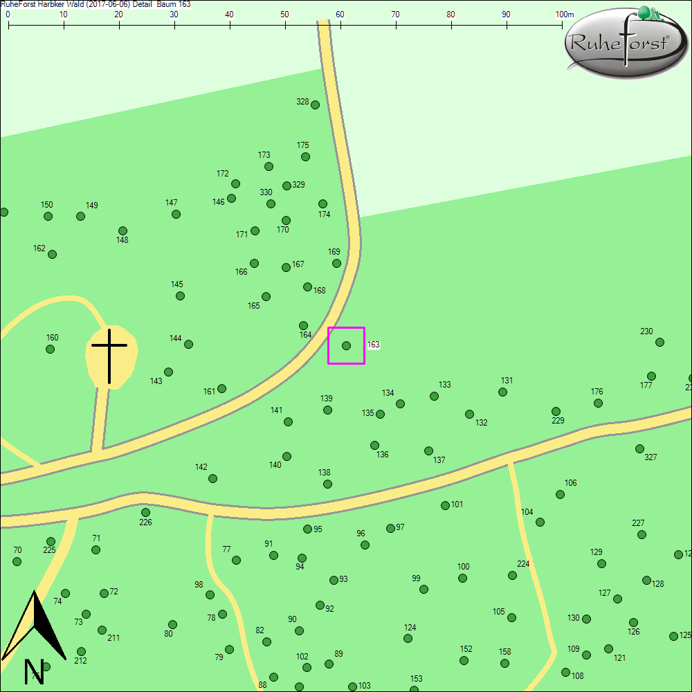Detailkarte zu Baum 163