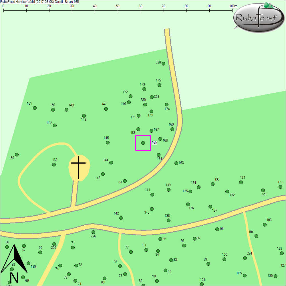 Detailkarte zu Baum 165