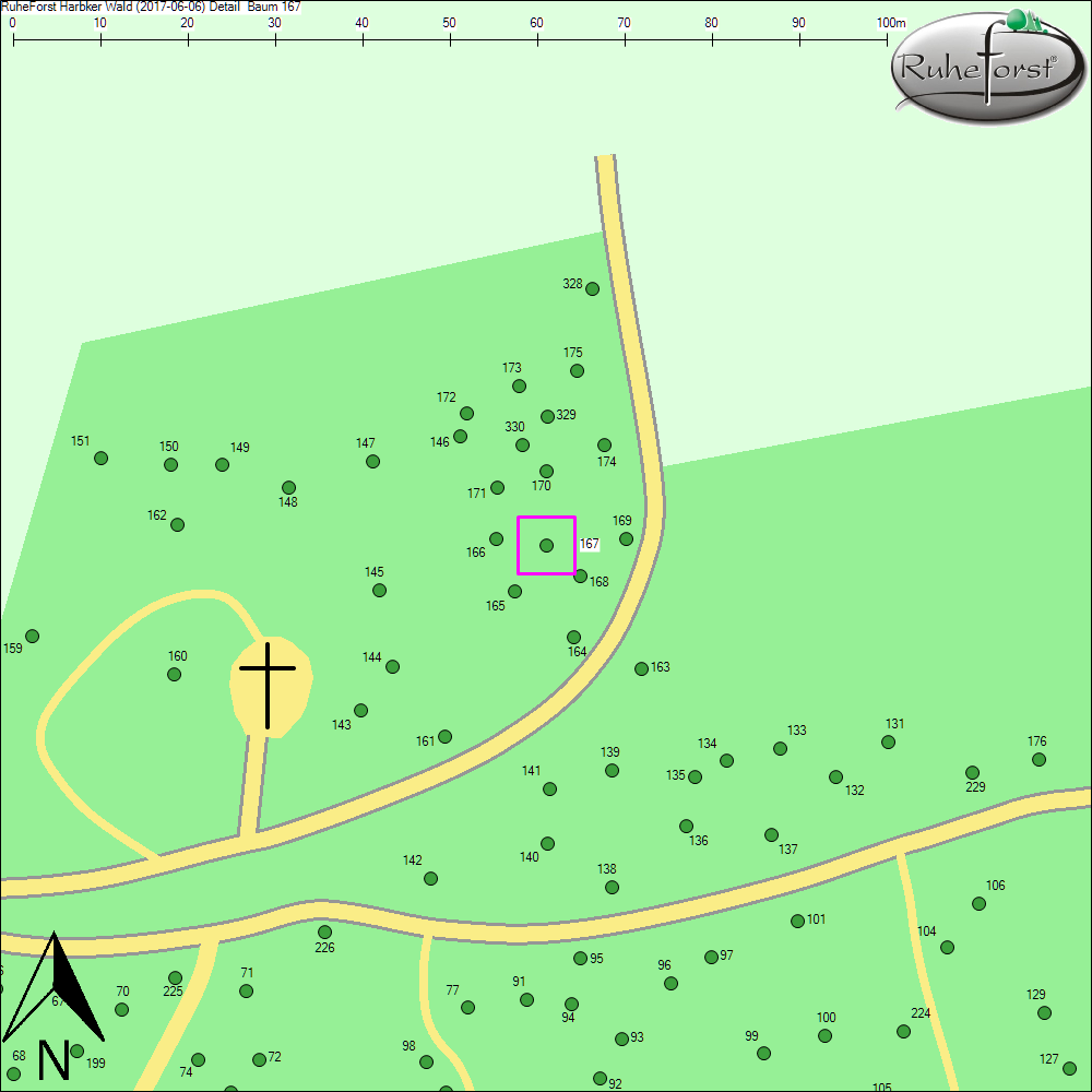Detailkarte zu Baum 167