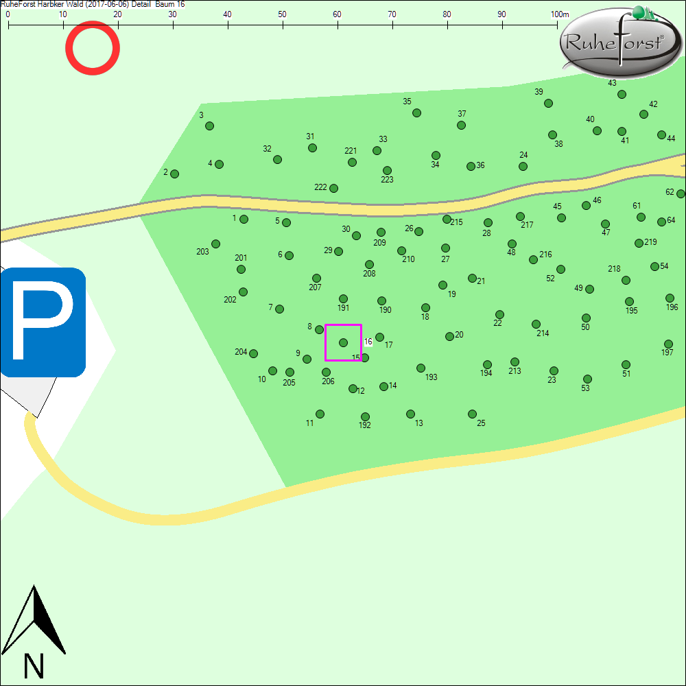 Detailkarte zu Baum 16