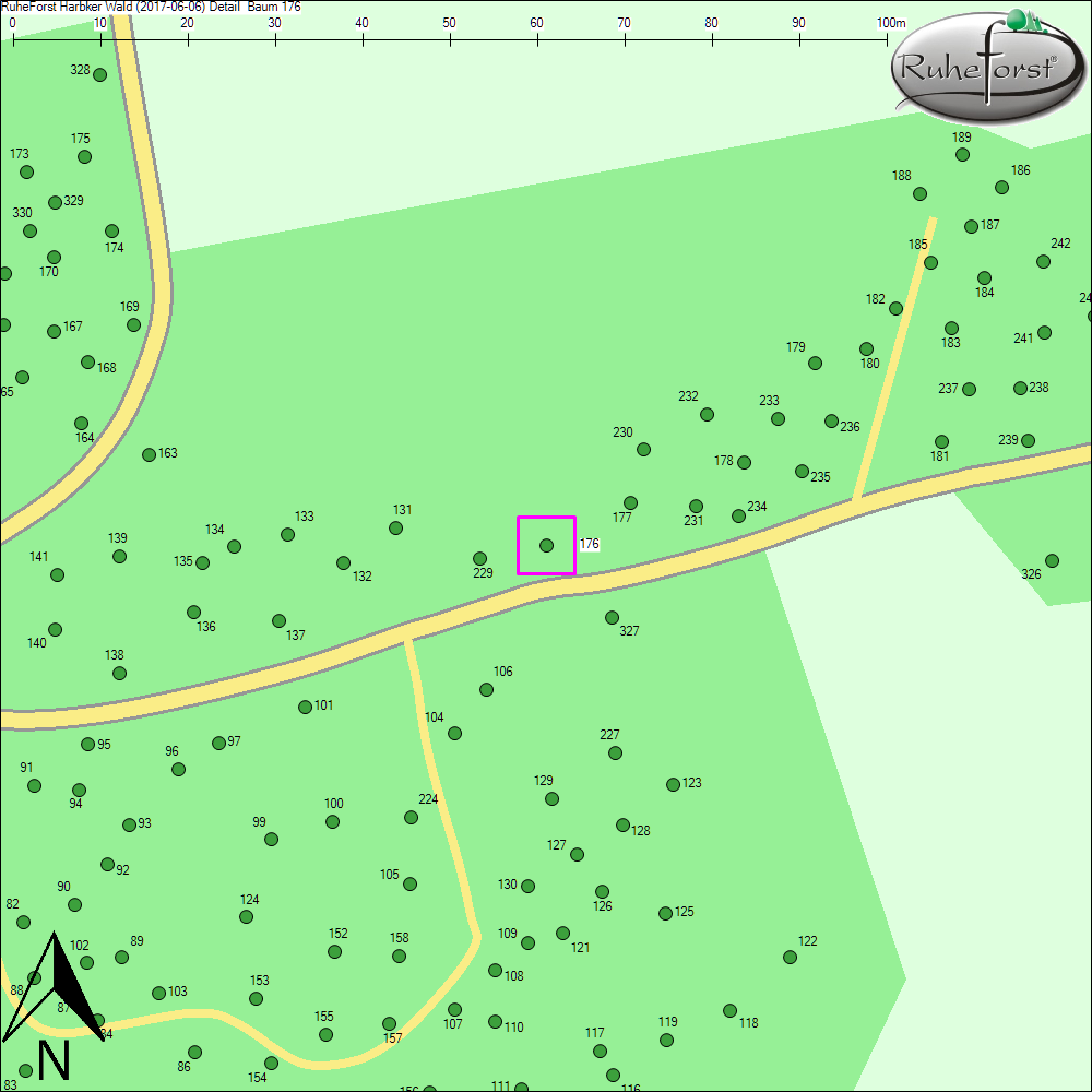 Detailkarte zu Baum 176