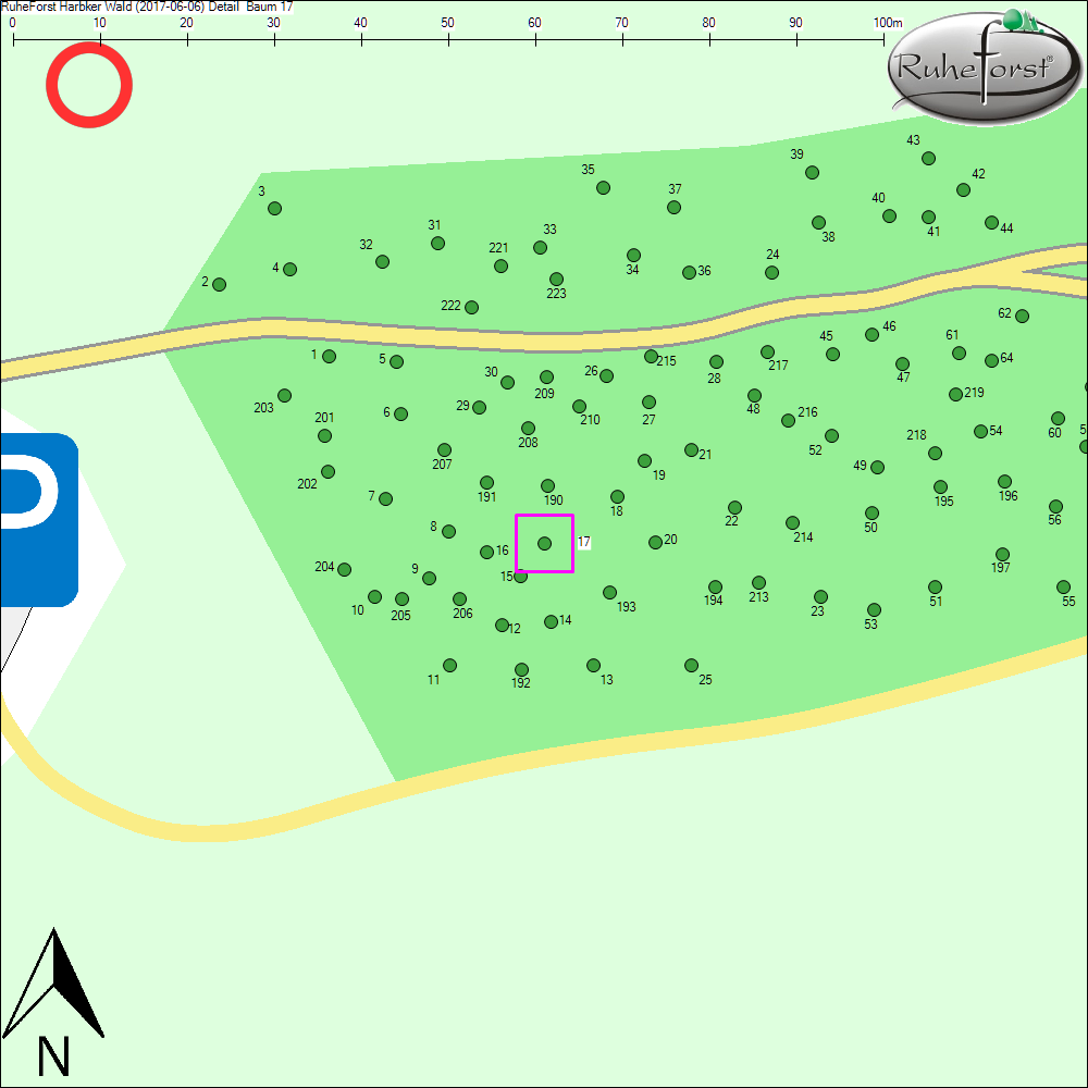 Detailkarte zu Baum 17