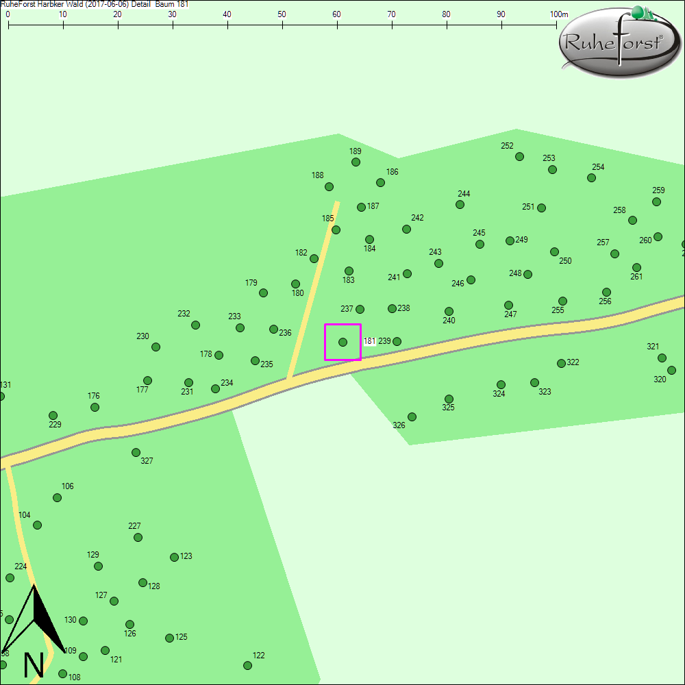 Detailkarte zu Baum 181