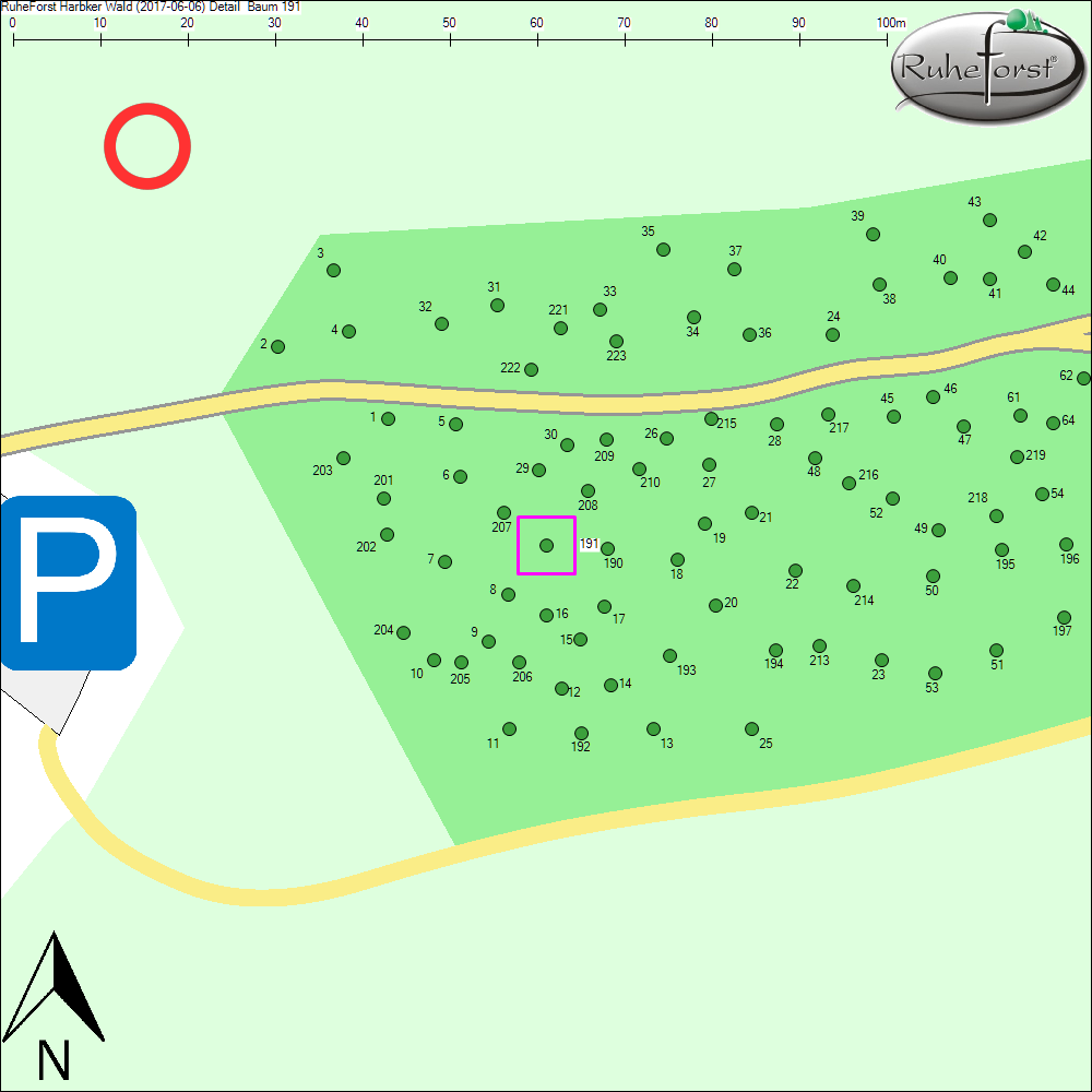 Detailkarte zu Baum 191
