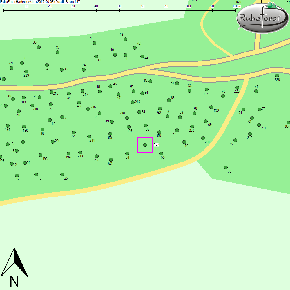 Detailkarte zu Baum 197