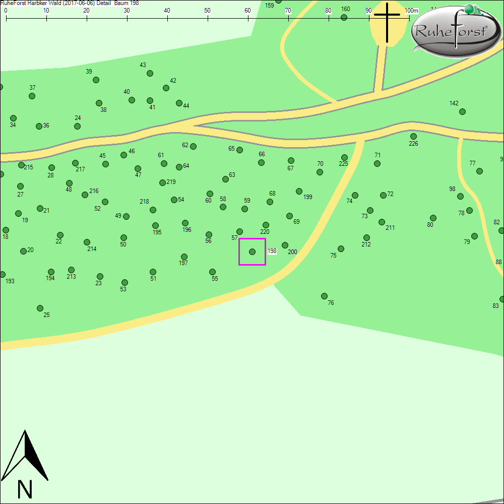 Detailkarte zu Baum 198