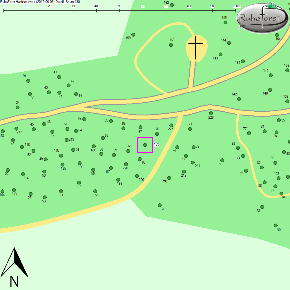 Detailkarte zu Baum 199