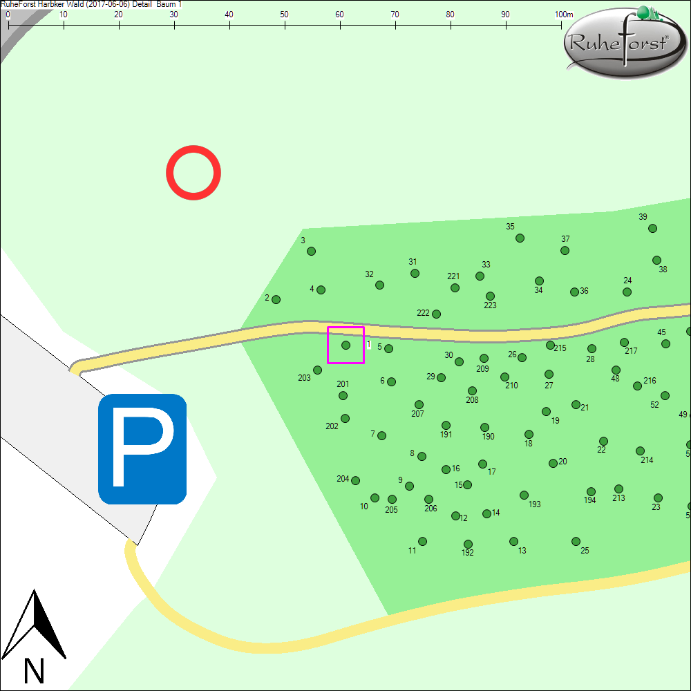 Detailkarte zu Baum 1