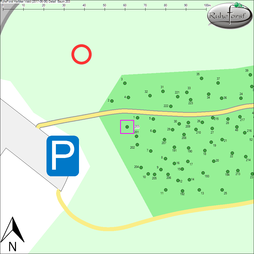 Detailkarte zu Baum 203