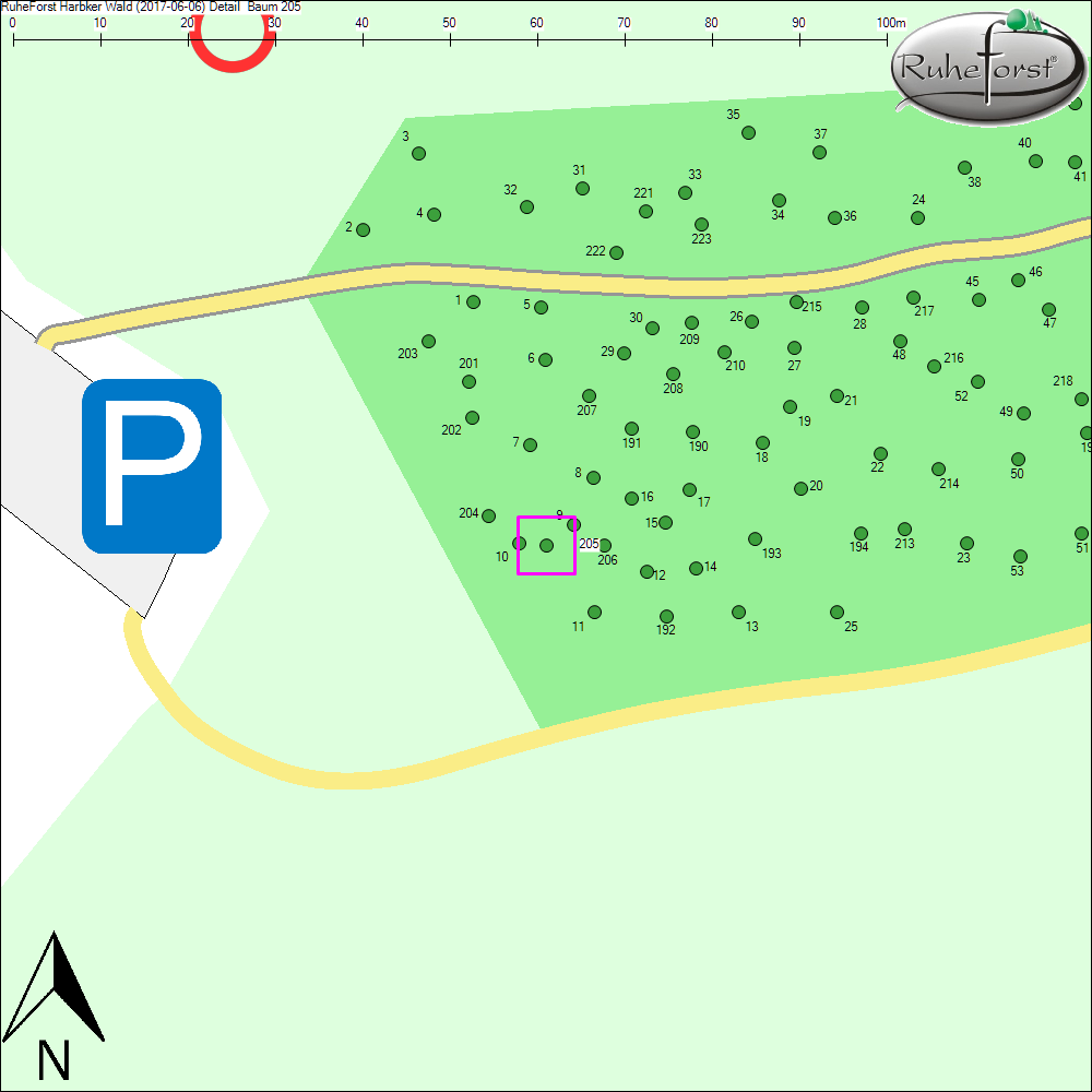 Detailkarte zu Baum 205