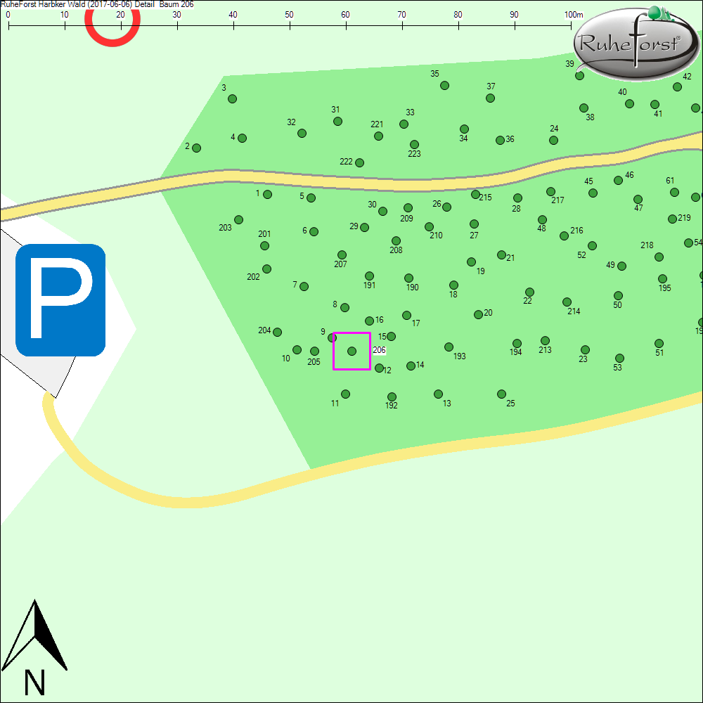 Detailkarte zu Baum 206
