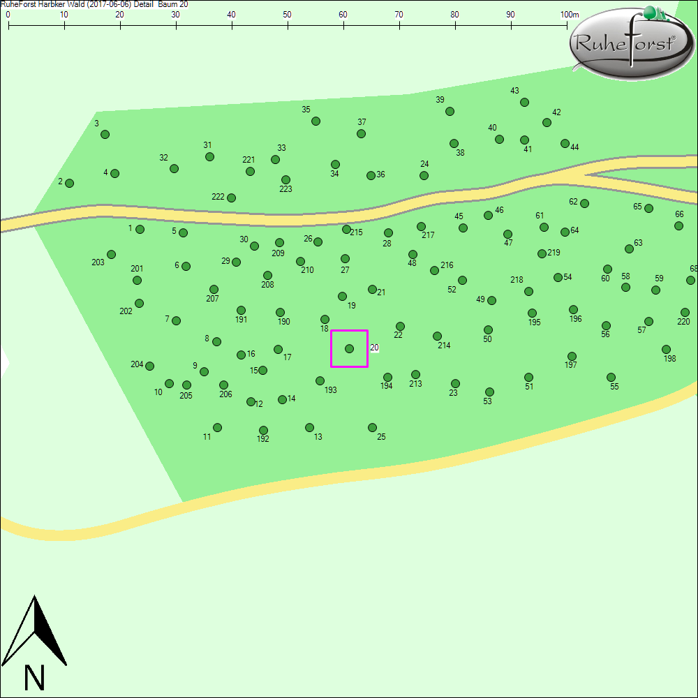 Detailkarte zu Baum 20