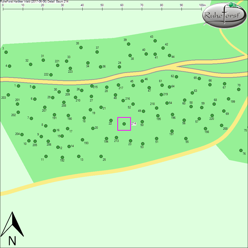 Detailkarte zu Baum 214