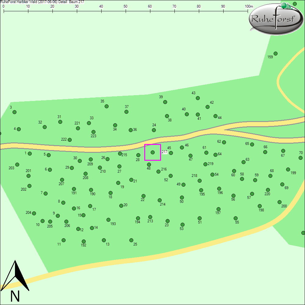Detailkarte zu Baum 217