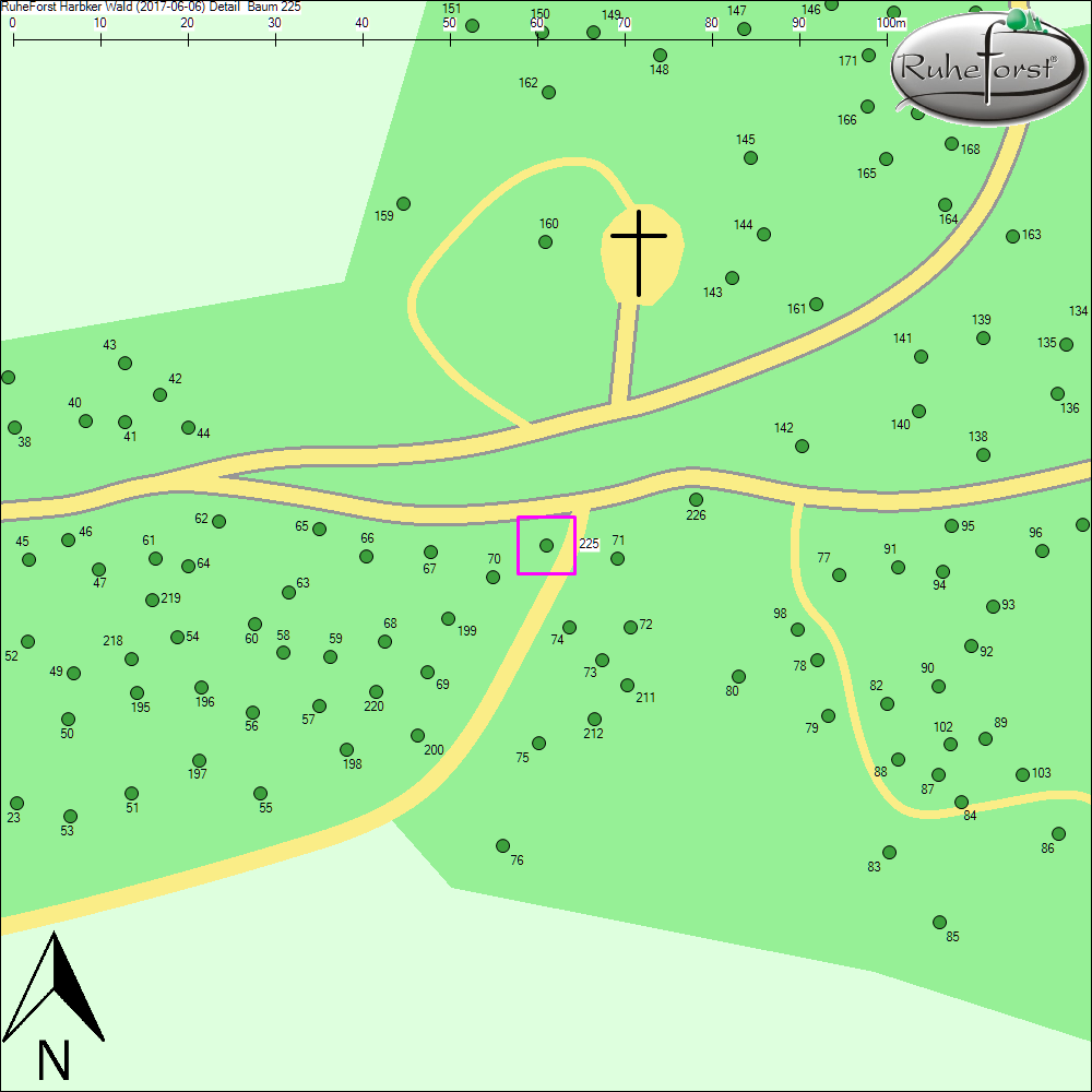 Detailkarte zu Baum 225