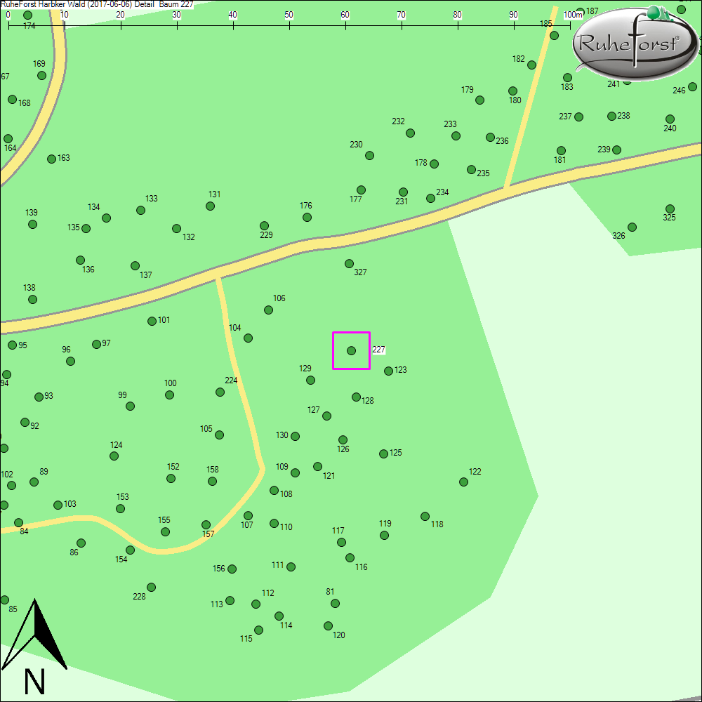Detailkarte zu Baum 227