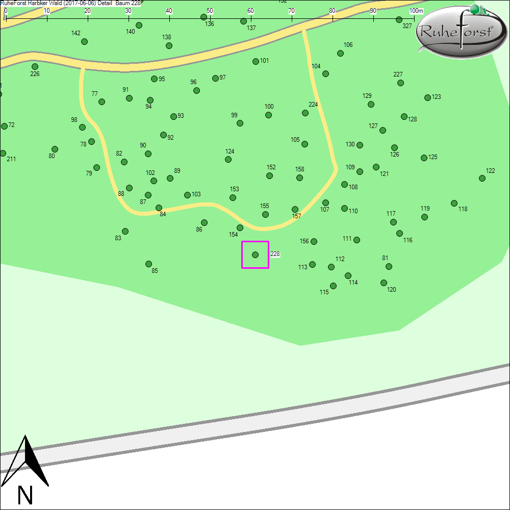 Detailkarte zu Baum 228