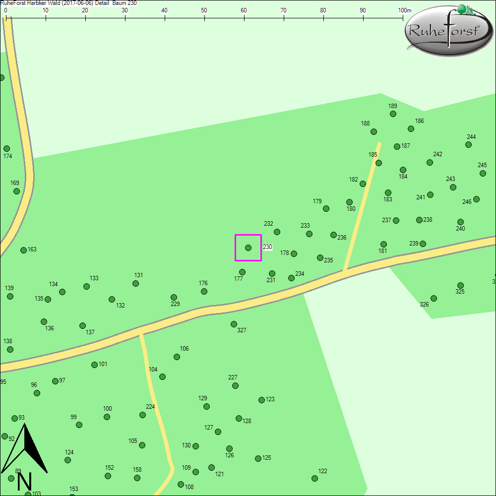 Detailkarte zu Baum 230