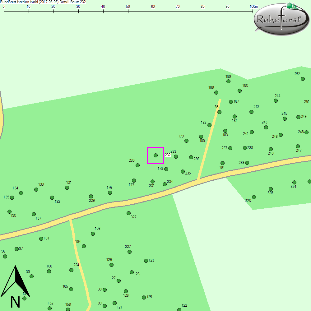 Detailkarte zu Baum 232