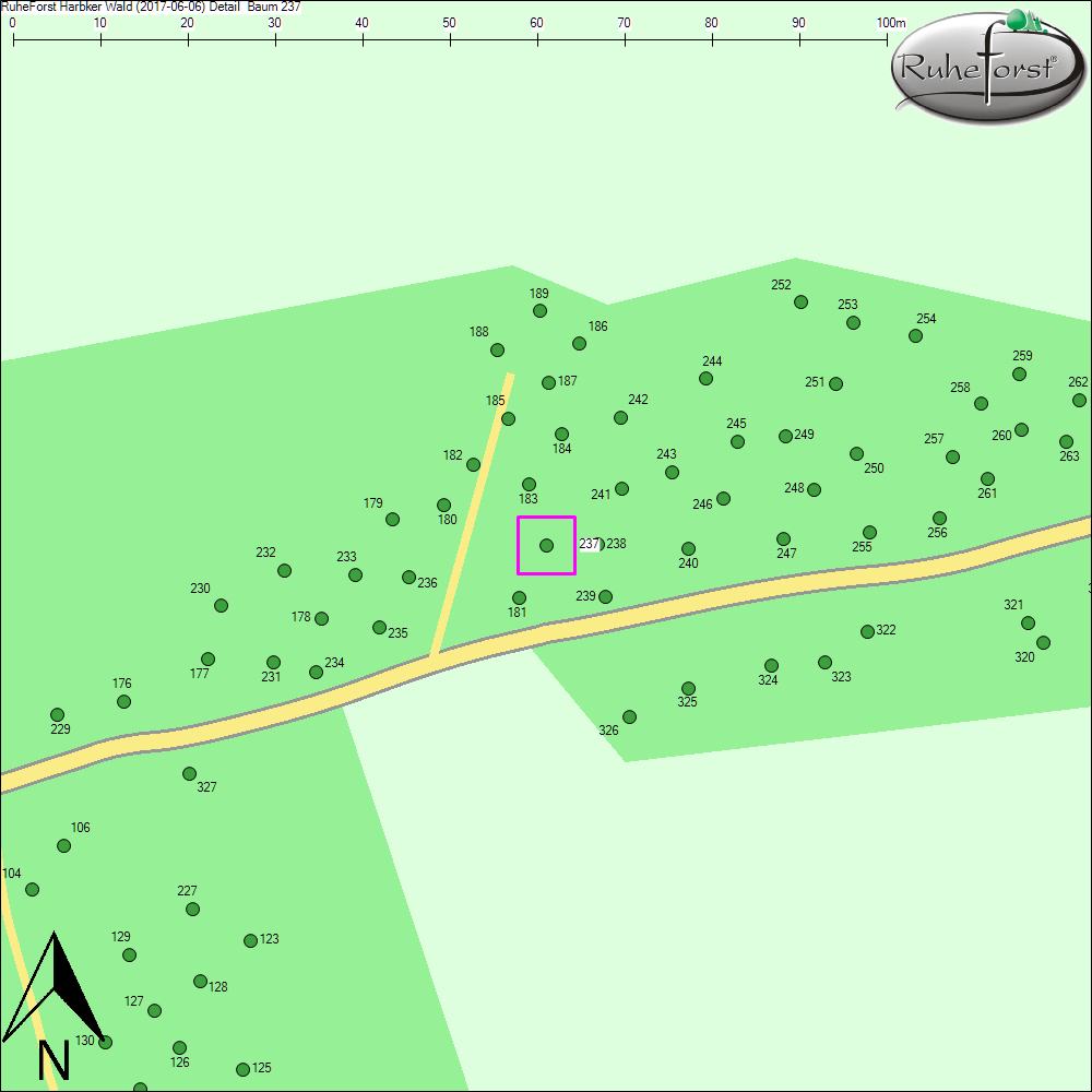 Detailkarte zu Baum 237