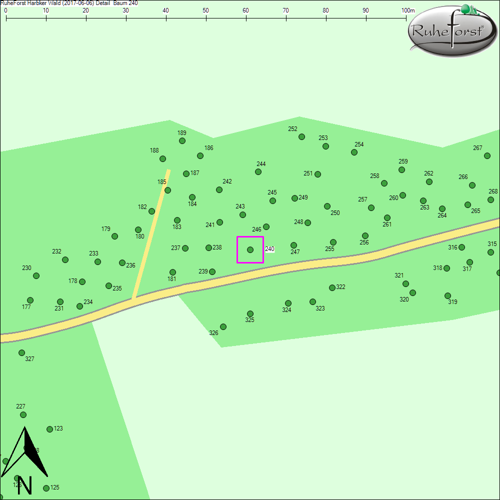 Detailkarte zu Baum 240