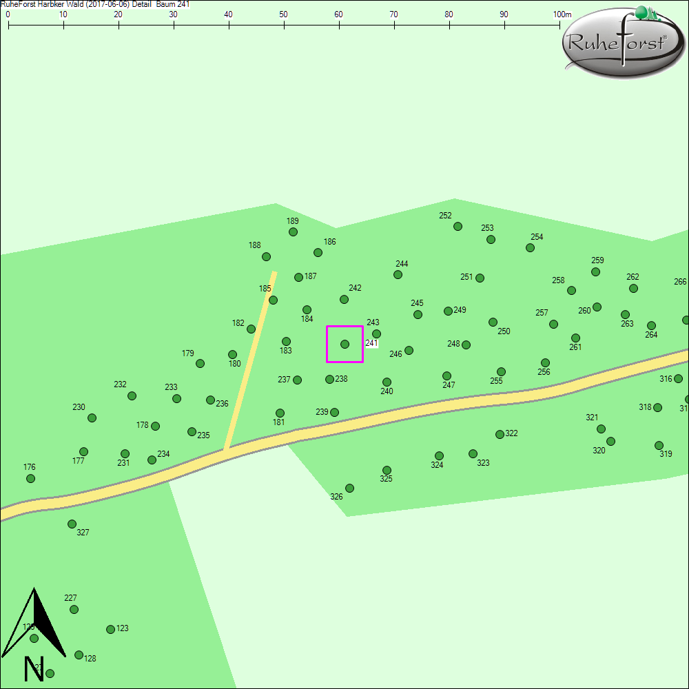 Detailkarte zu Baum 241