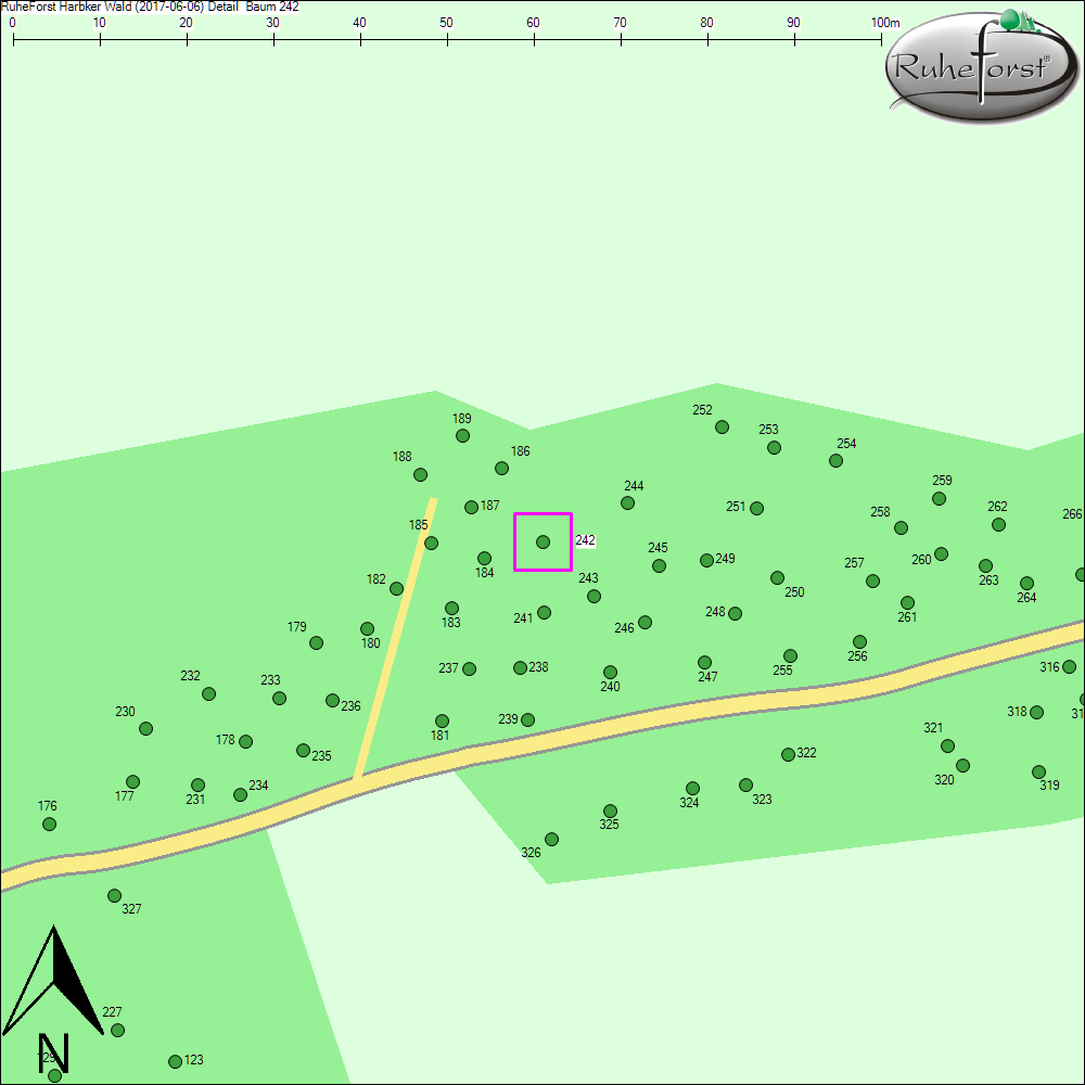 Detailkarte zu Baum 242