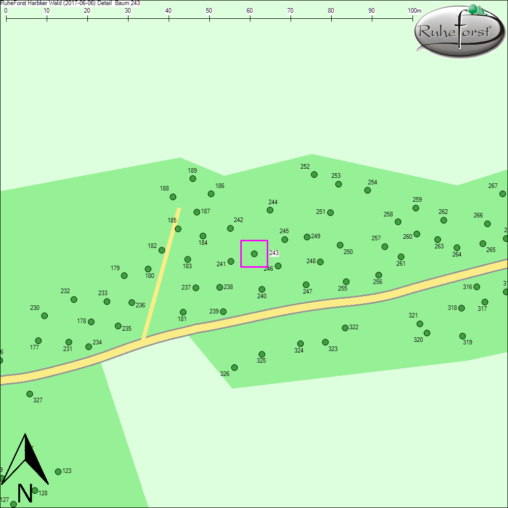 Detailkarte zu Baum 243