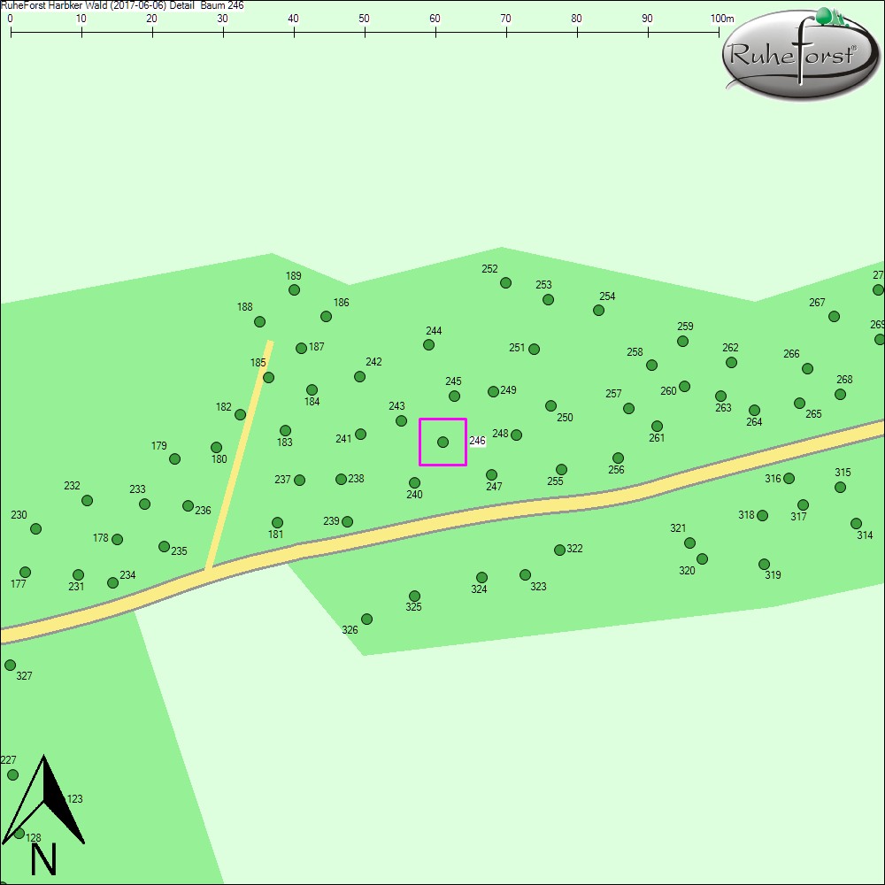 Detailkarte zu Baum 246